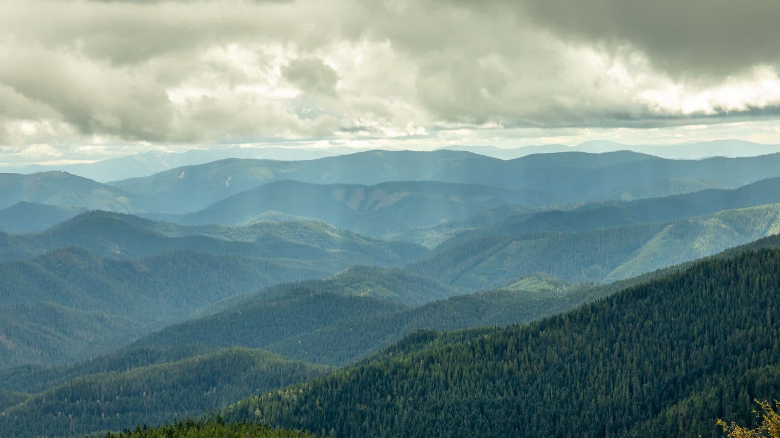 Idaho mountain ranges above forested slopes